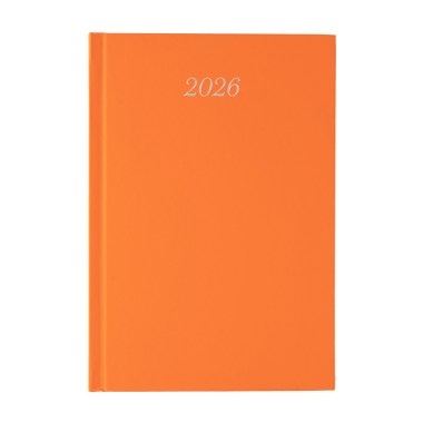 101169.5 πορτοκαλι